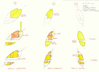 cava_8